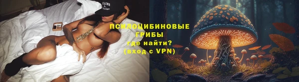 ГАЛЛЮЦИНОГЕННЫЕ ГРИБЫ Михайловск