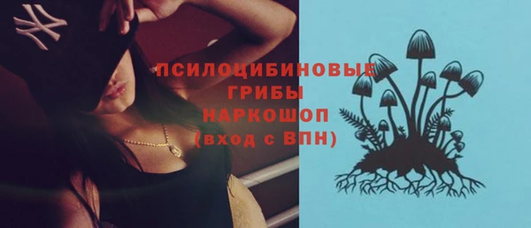 винт Наволоки