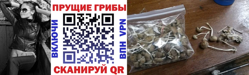 Купить закладки  Усть-Джегута  Псилоцибиновые грибы ЛСД 
